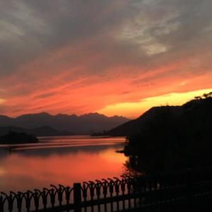 撒尿BBWBBWBBW毛黑vido
