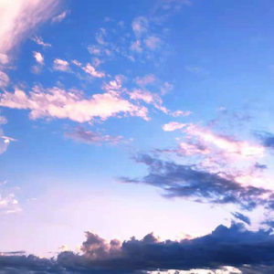 撒尿BBWBBWBBW毛黑vido
